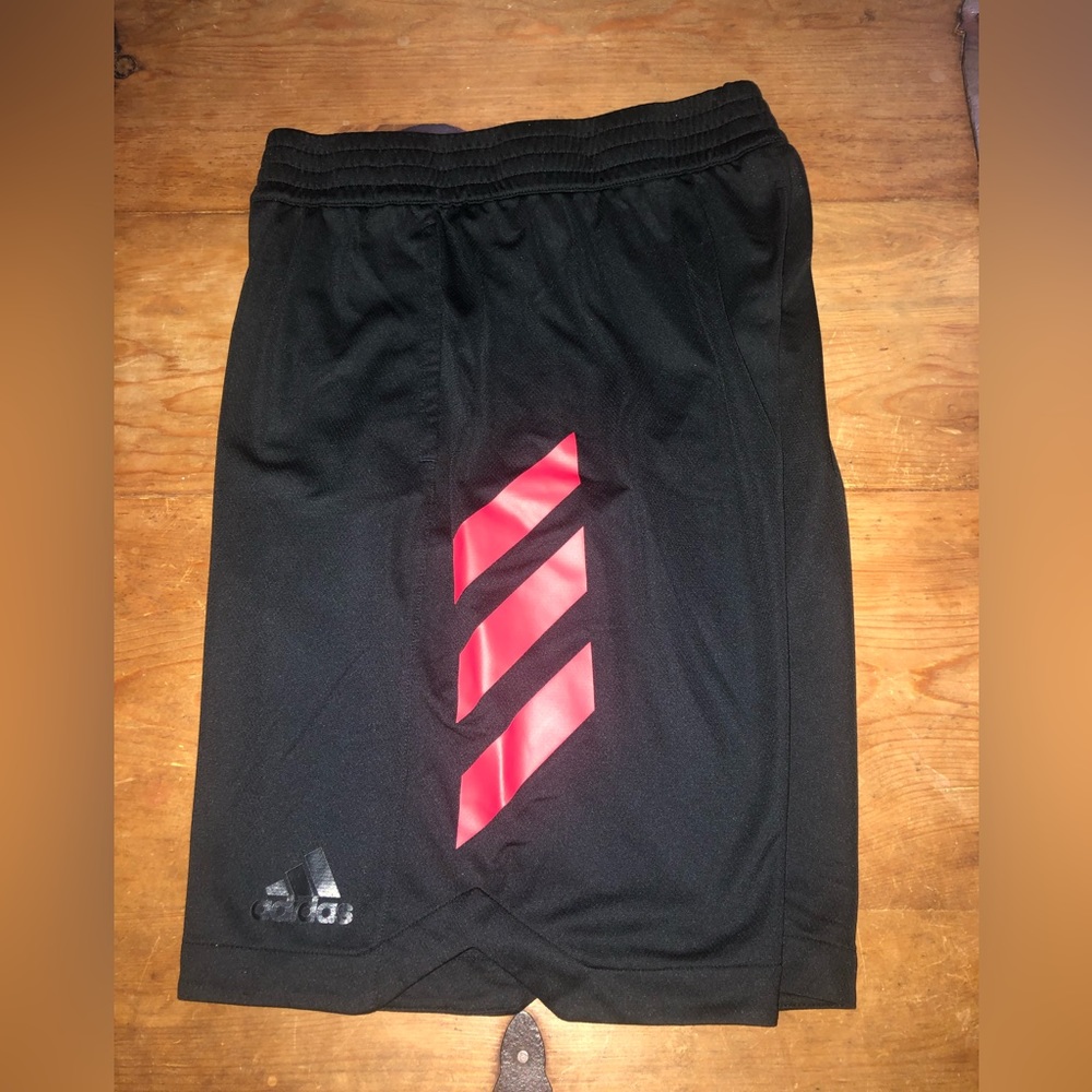 Mens Adidas TERREX AGRAVIC SHORTS LARGE